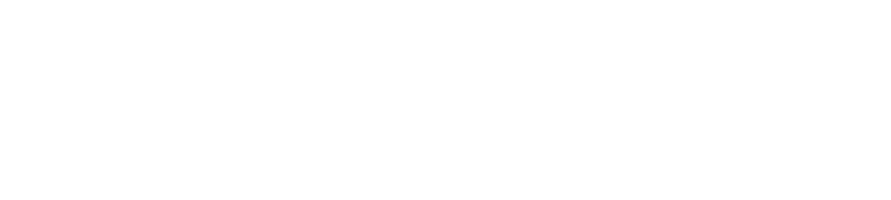 D365IS Logo